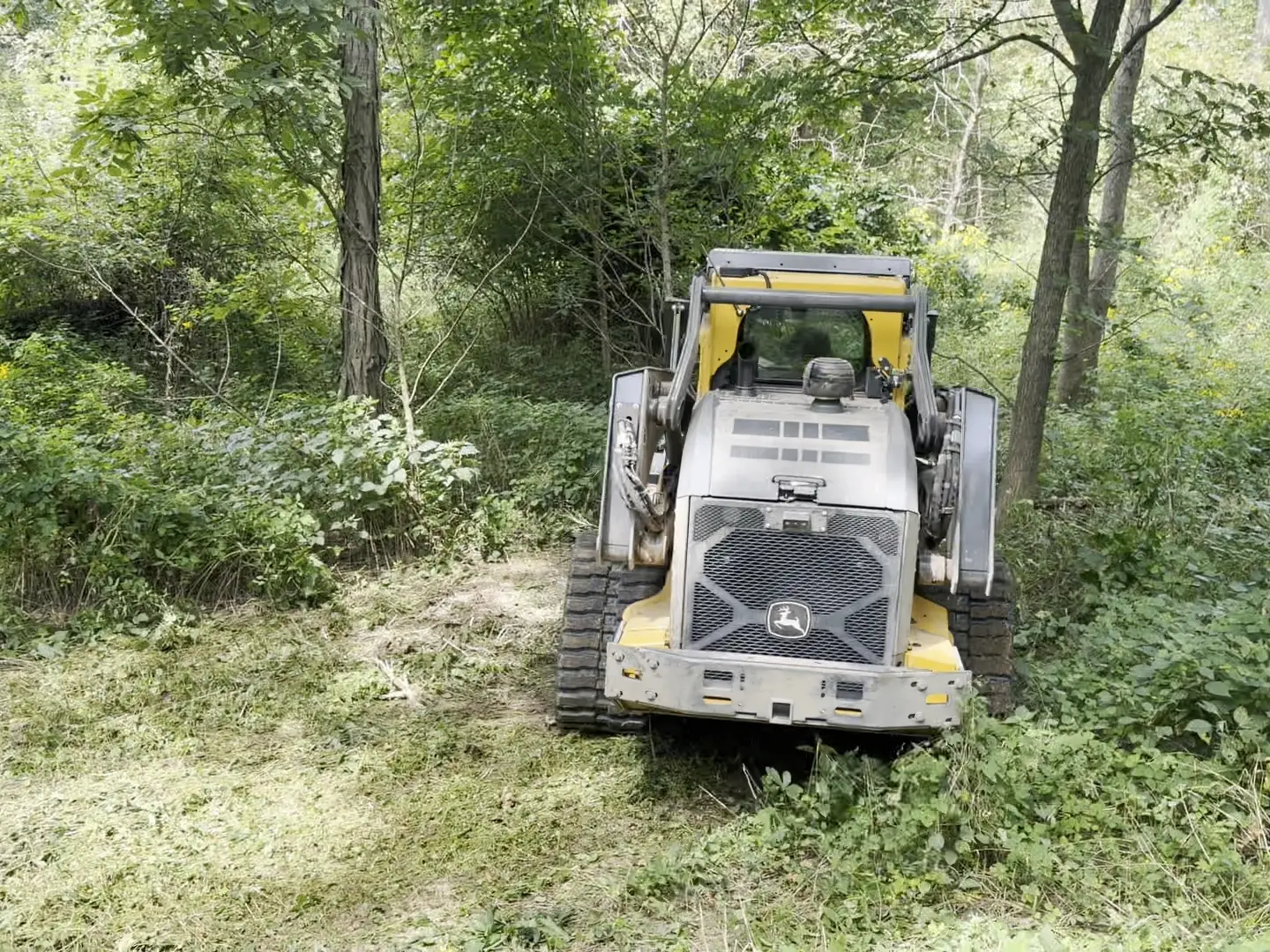 Freshly mulched lane running through brush toward a barn