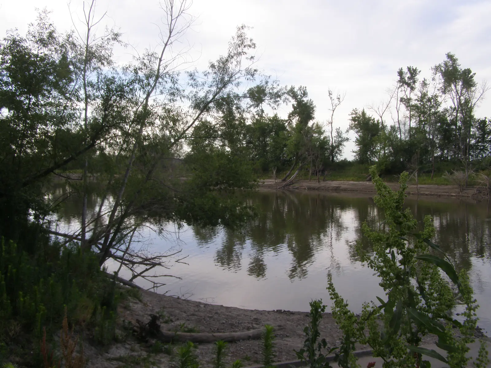 Oxbow of the Missouri River near Brunswick, Missouri