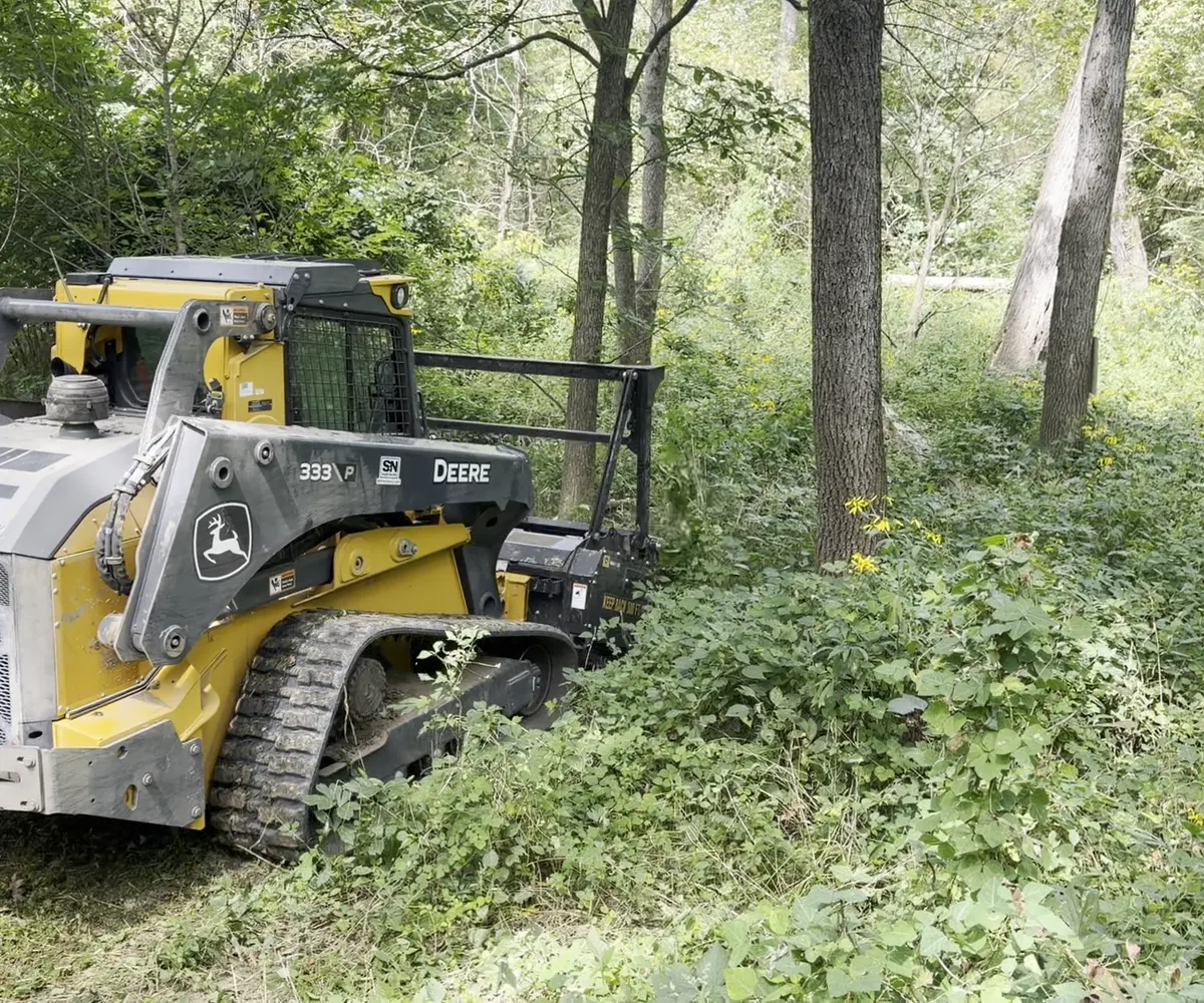 General Land Clean Up use case