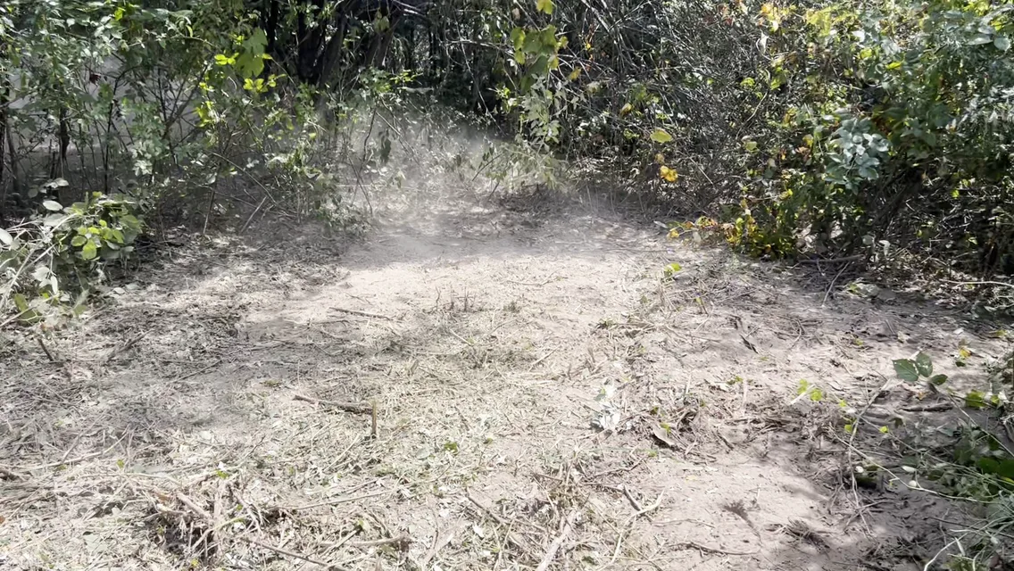 General Land Clean Up