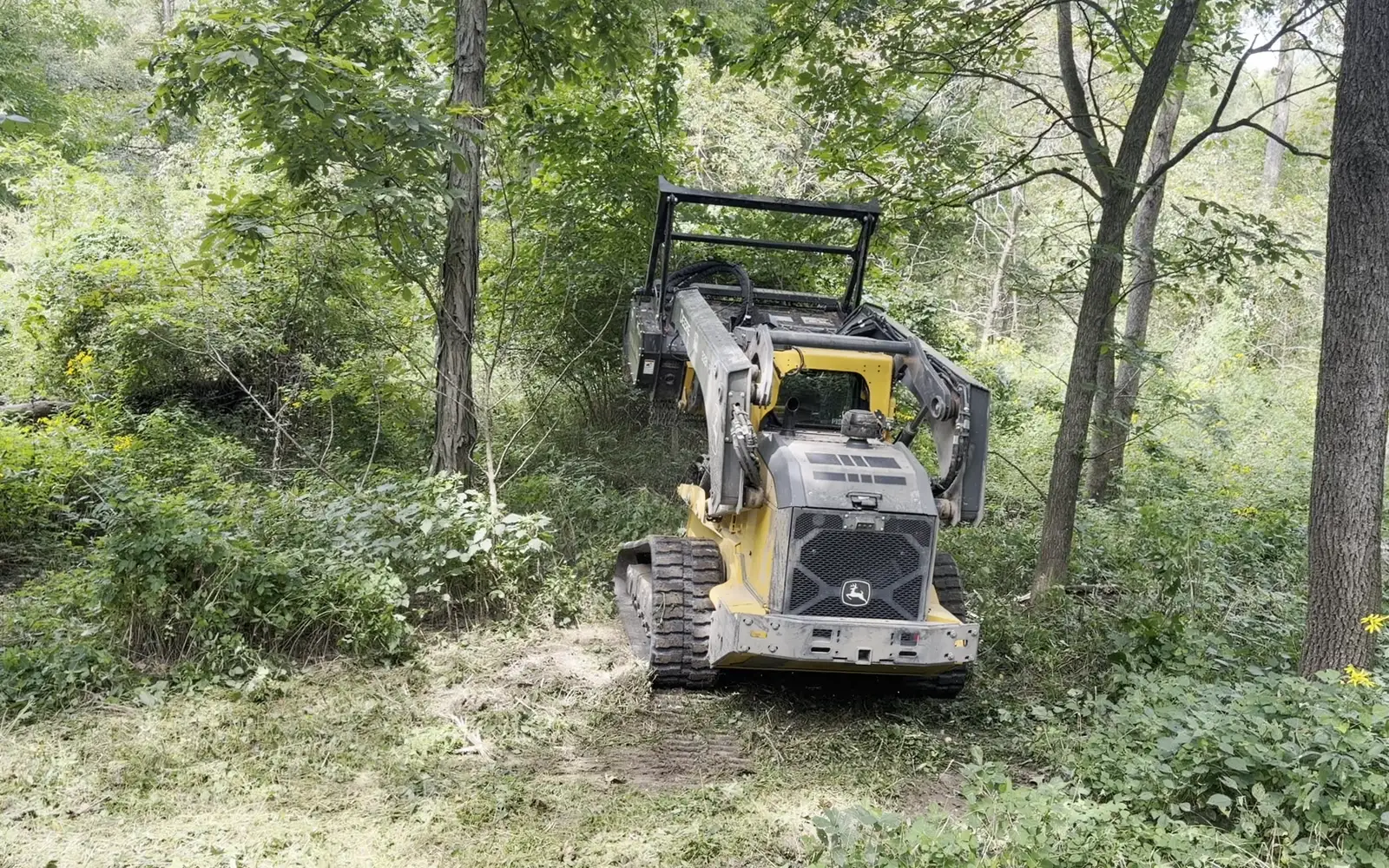 Trail & Shooting Lane Clearing in Mid-Missouri