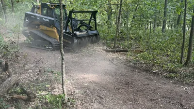 Trail Clearing